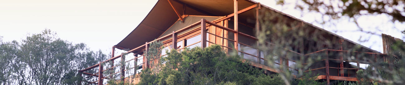 Elephant Safari Lodge